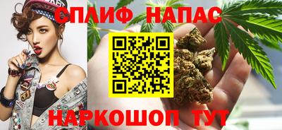 прущие грибы Ипатово