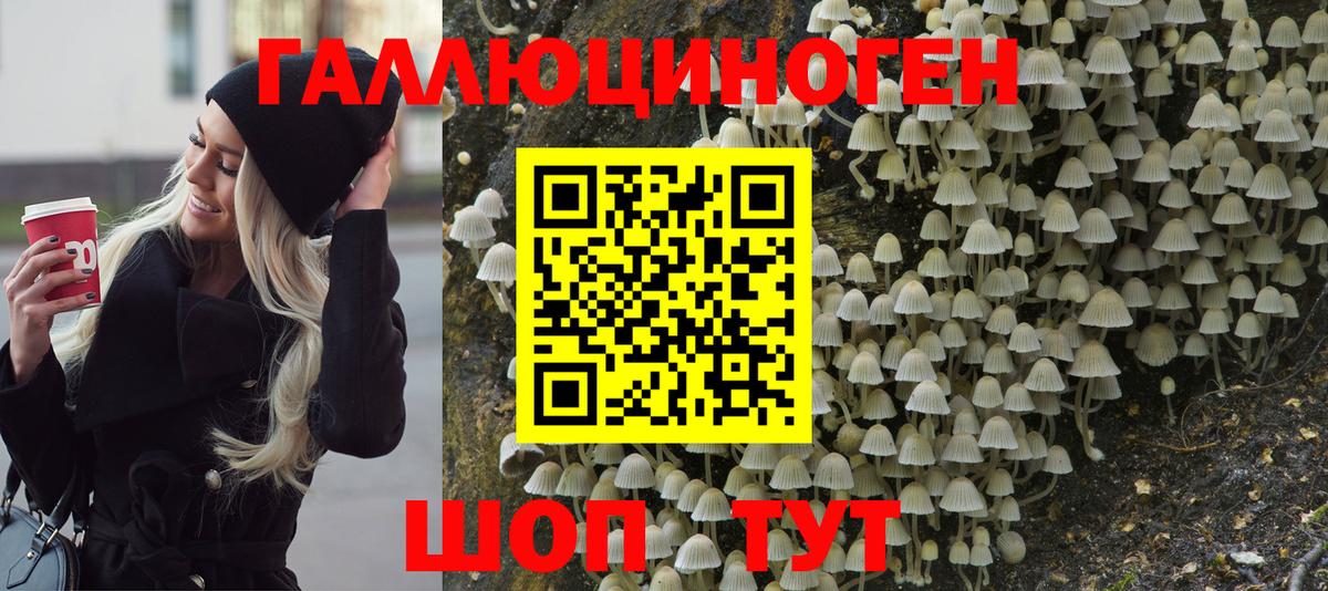 Галлюциногенные грибы Psilocybine cubensis Кумертау
